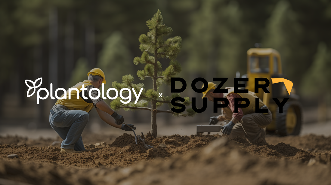 Dozer Supply Partners with Plantology USA: A Groundbreaking Collaboration in Construction and Horticulture